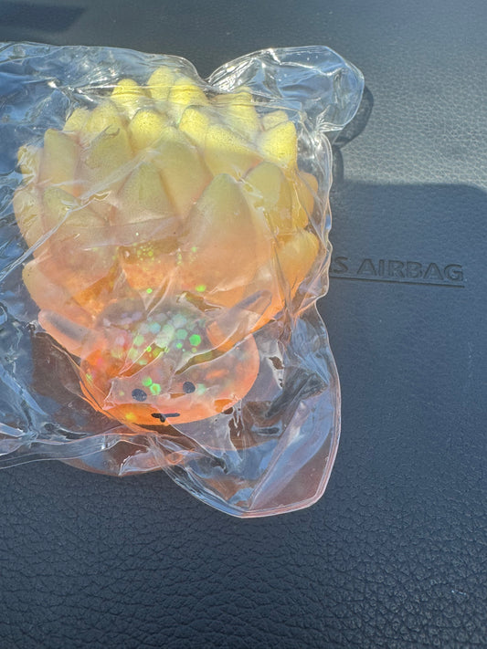 Sea slugs bundle SQUISHY TOY ￼